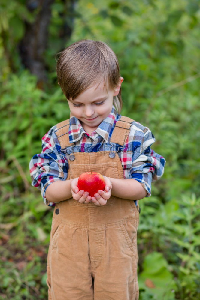 Similar – apple Fruit Apple