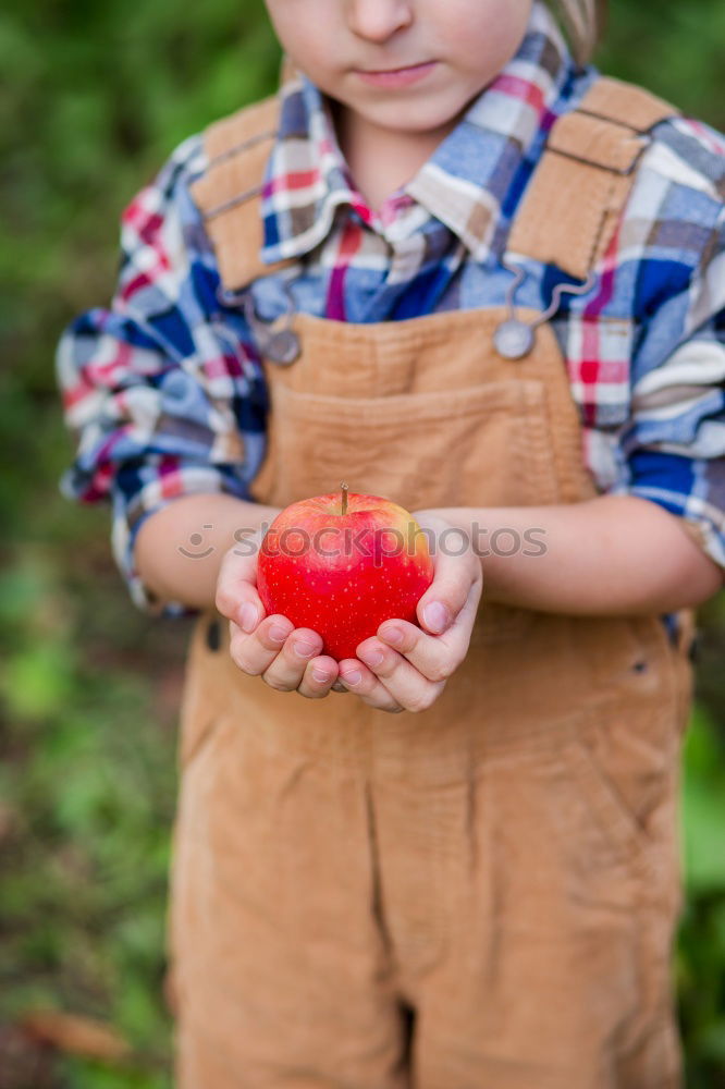 Similar – apple Fruit Apple