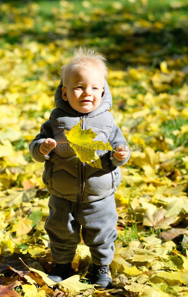 Similar – cheerful Playing Child