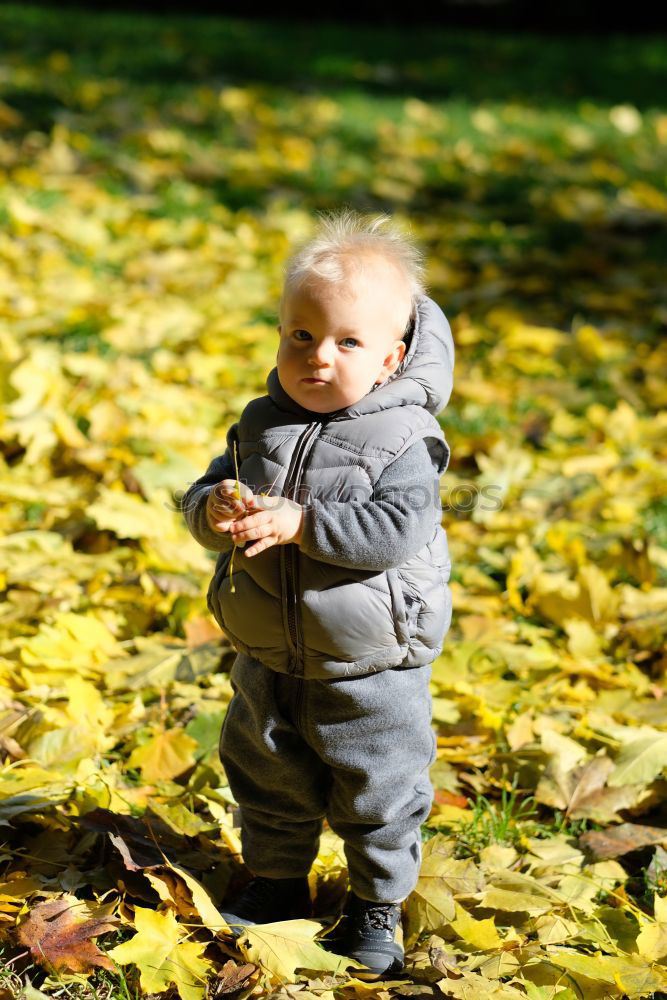 Similar – Image, Stock Photo rake leaves Joy