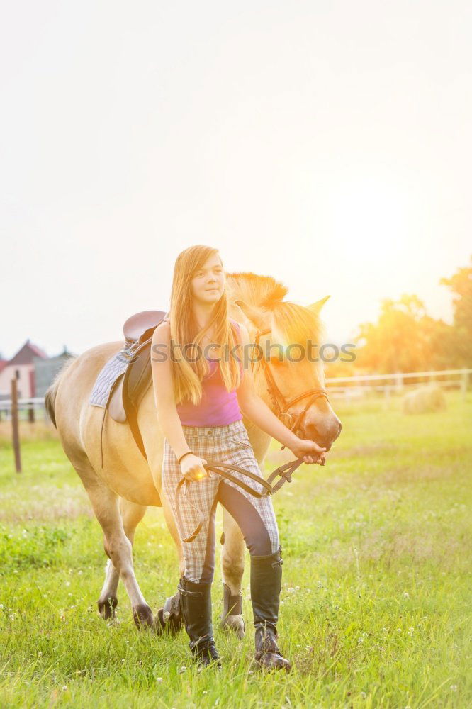 Similar – Image, Stock Photo Thoroughbred Arabian horse enjoys crawling at the neck