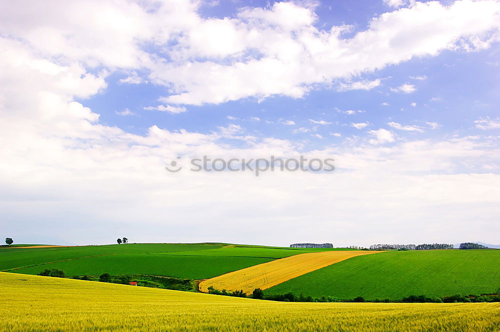 Similar – Image, Stock Photo harvest time Environment