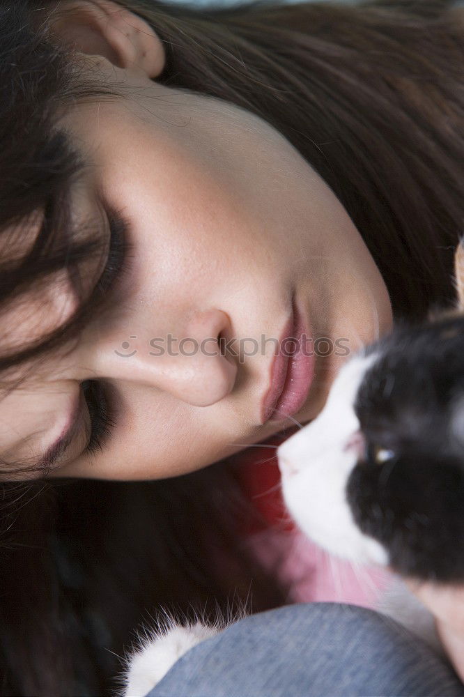 Image, Stock Photo Coitus with the sheep!