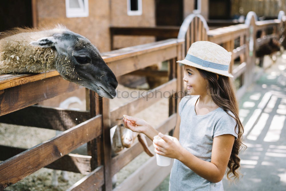 Similar – Image, Stock Photo Feed animals Parenting