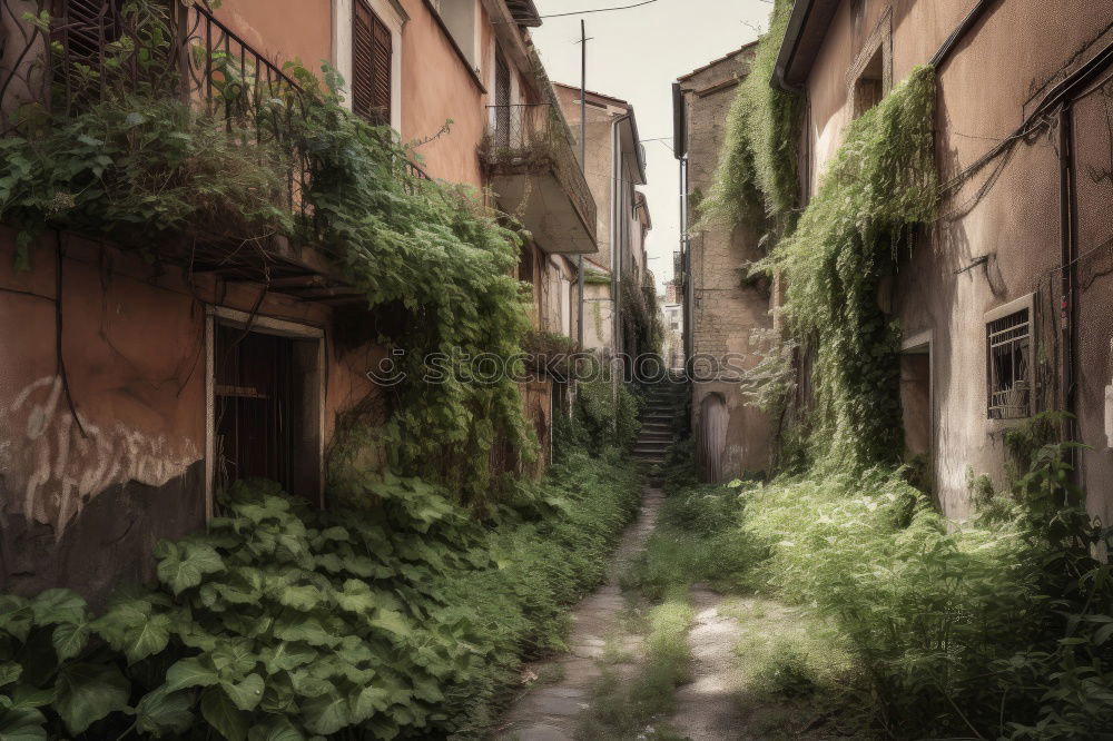 Similar – Image, Stock Photo Thanks to Photocase this: Finally out of the corner! Here is a narrow street in Toronto.