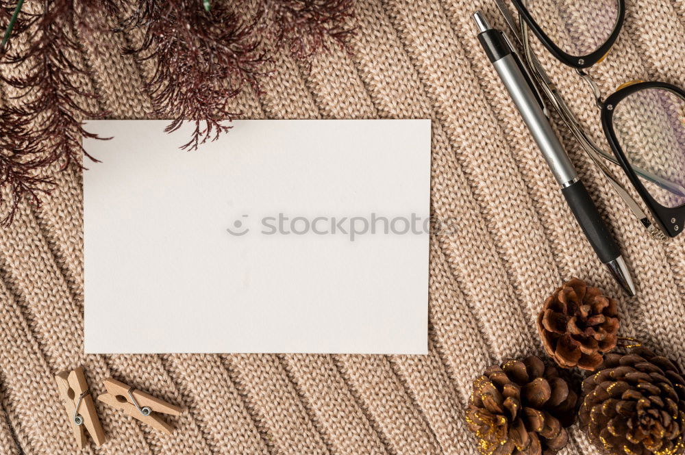 Gift with fir twig and blank white paper