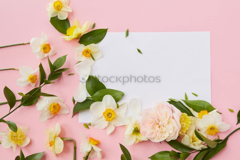 Similar – Image, Stock Photo Female hands write greeting card with flowers