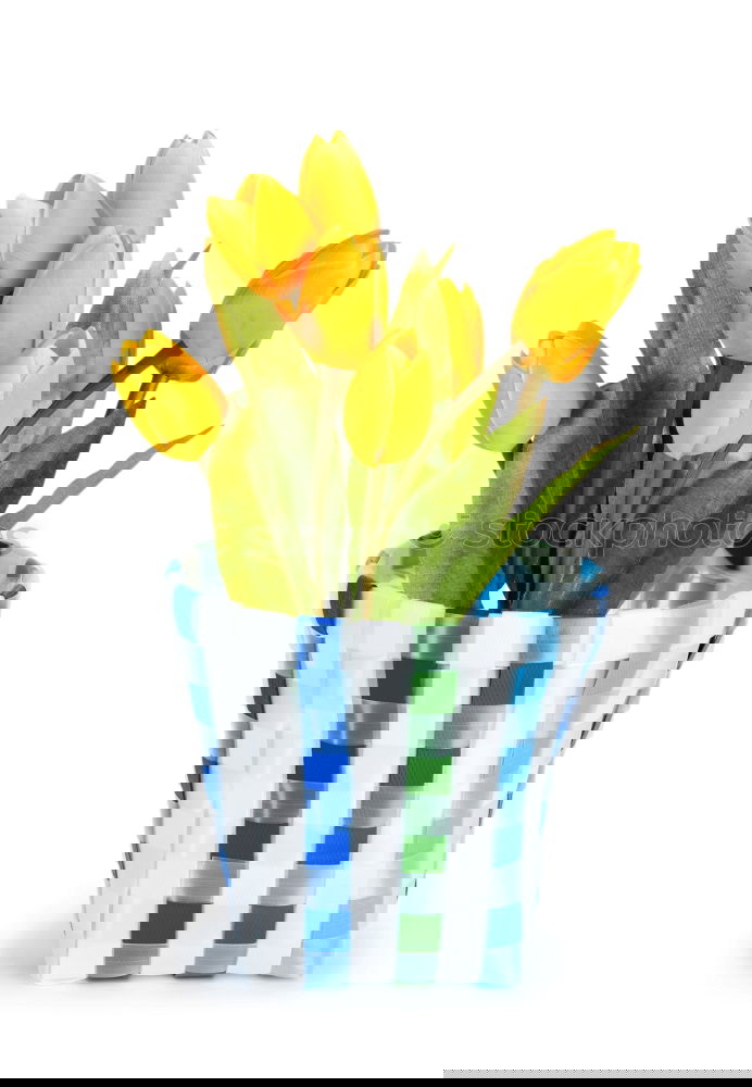 Similar – Image, Stock Photo Spring flowers in a flower pot