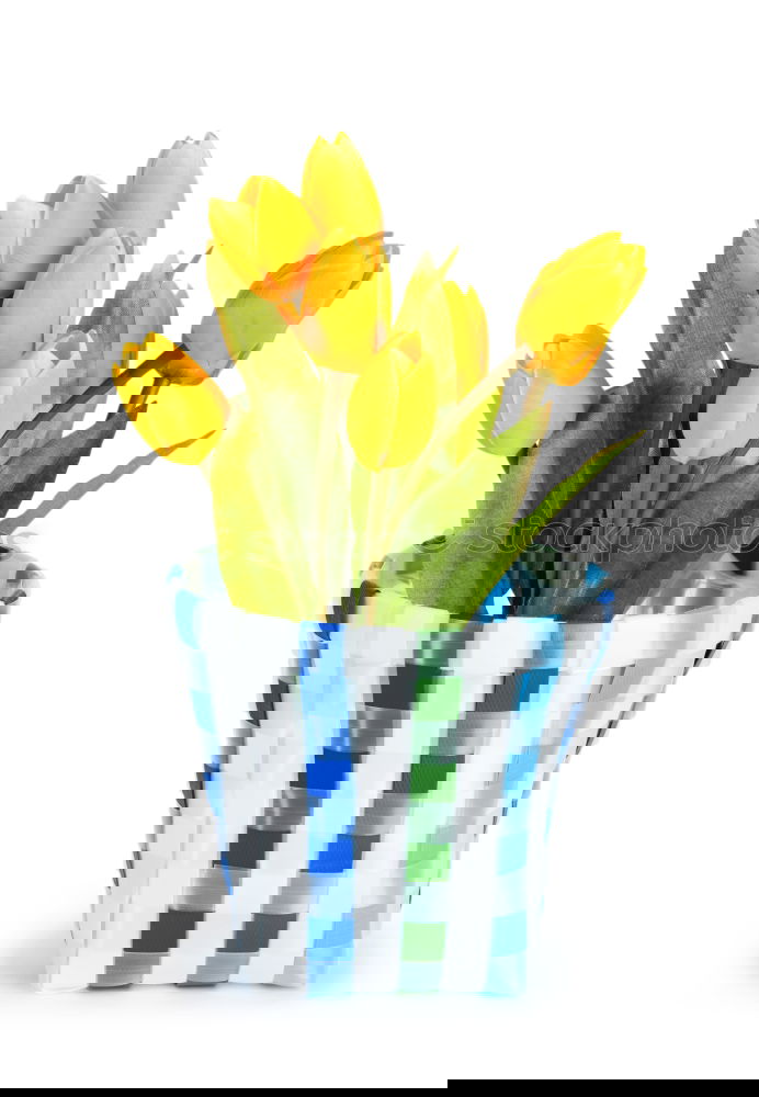 Similar – Image, Stock Photo Spring flowers in a flower pot