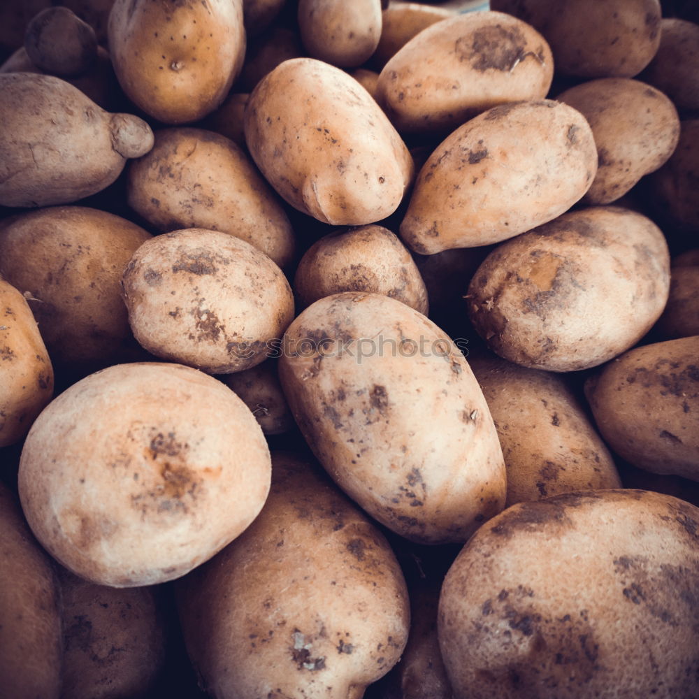 Similar – Potatoes with dirt