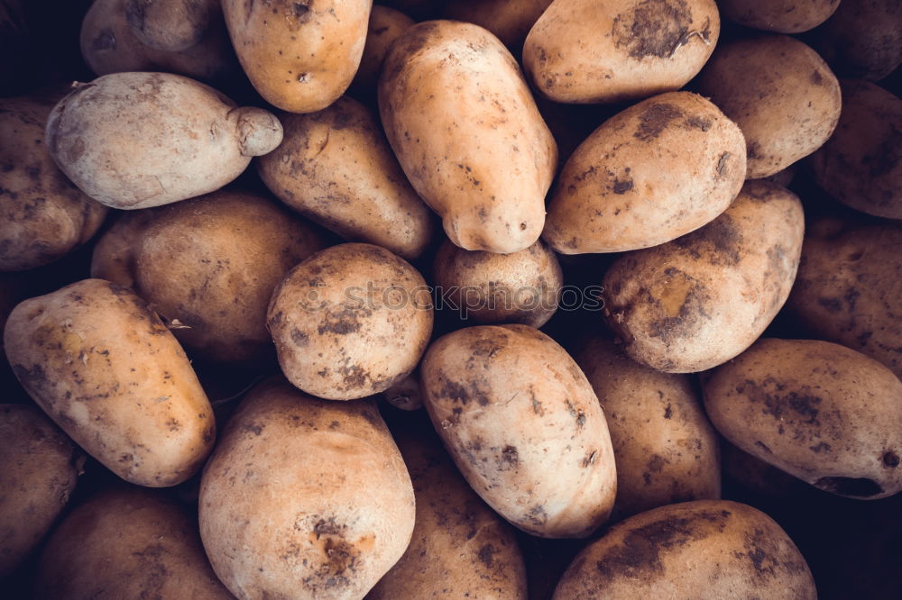 Similar – Potatoes with dirt