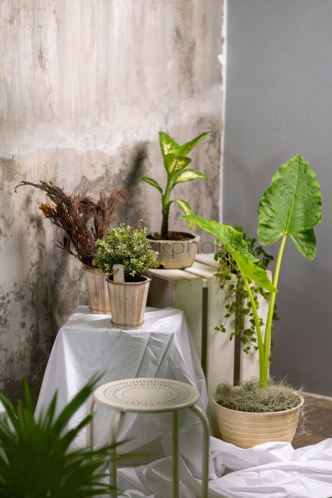 Similar – Image, Stock Photo Typical greek restaurant.