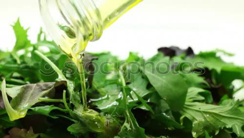 Similar – ingredient Parsley