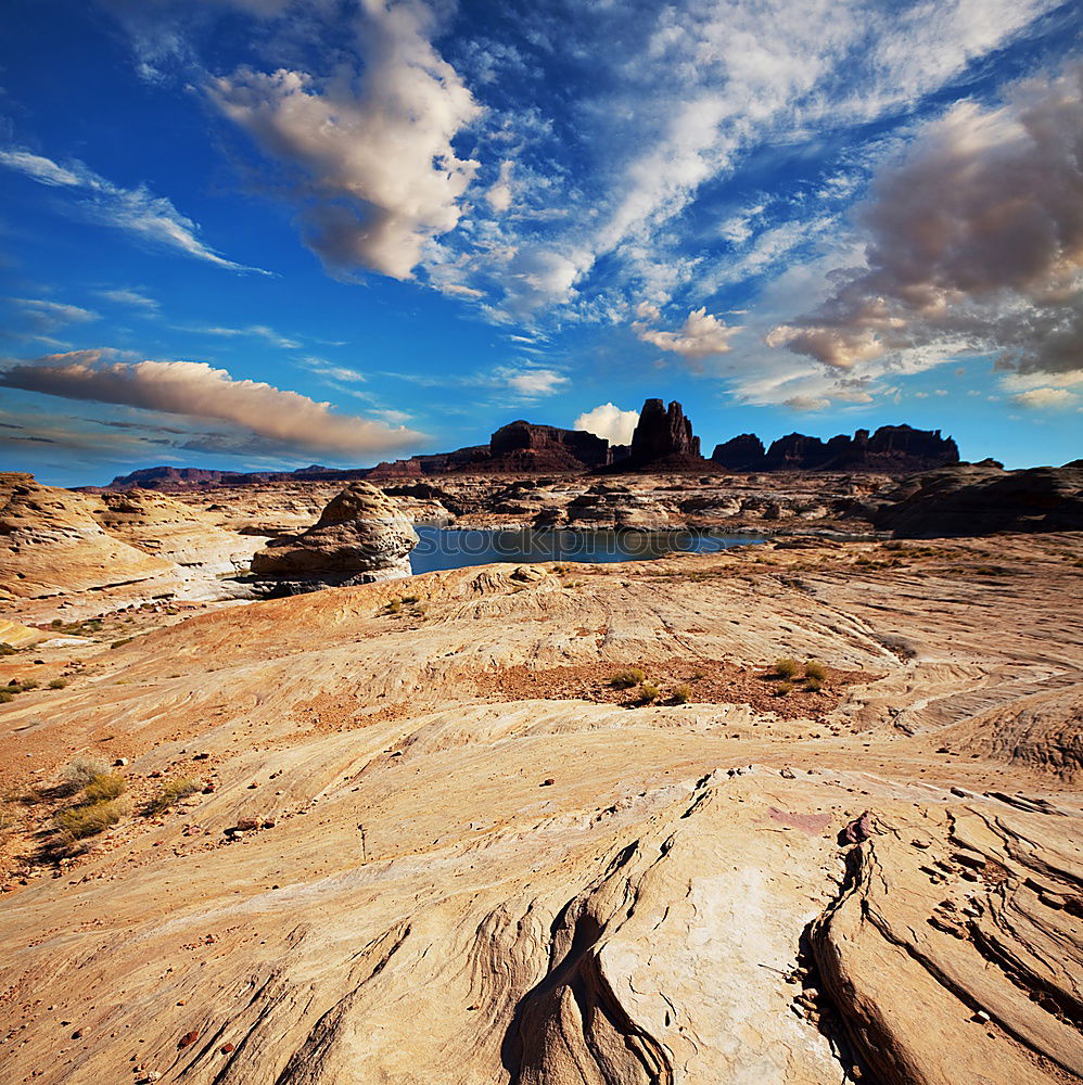 Similar – Joshua Tree National Park