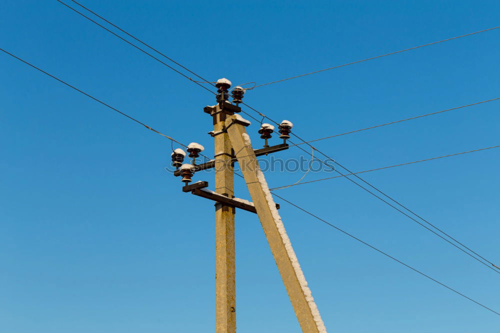 Similar – Image, Stock Photo Like sparrows Village