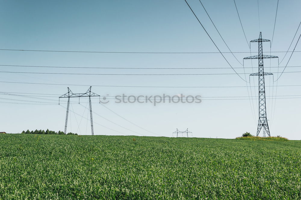 Similar – Foto Bild Raps unter Strom Rapsfeld