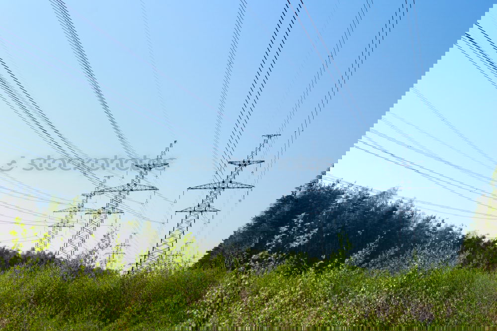 Similar – Foto Bild Raps unter Strom Rapsfeld