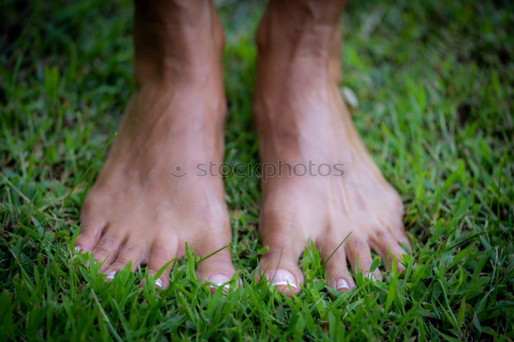 Similar – garden Barefoot Summer