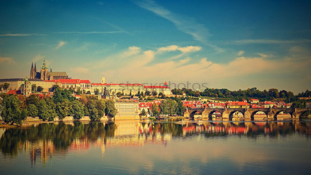 Similar – Image, Stock Photo Magdeburg Cathedral in the evening light