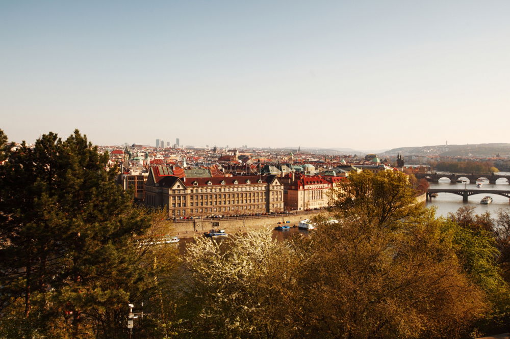 Similar – Image, Stock Photo peek over the city Sky