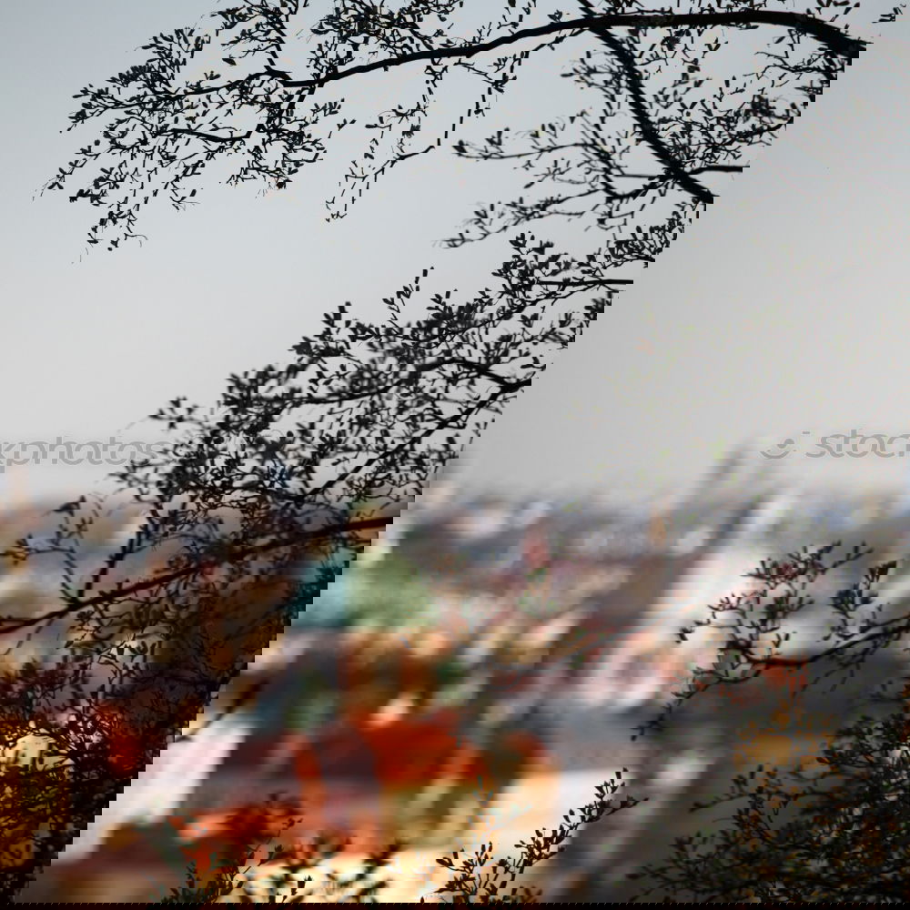 Similar – Image, Stock Photo I hate Berlin