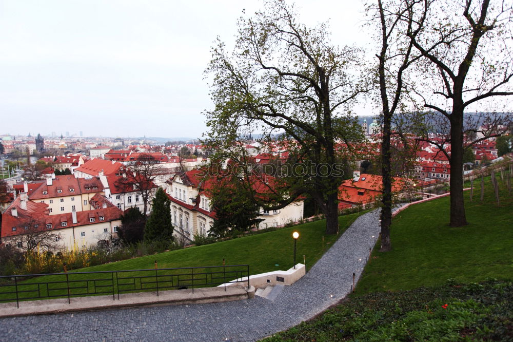 Similar – NATURE IN PRAGUE Prague