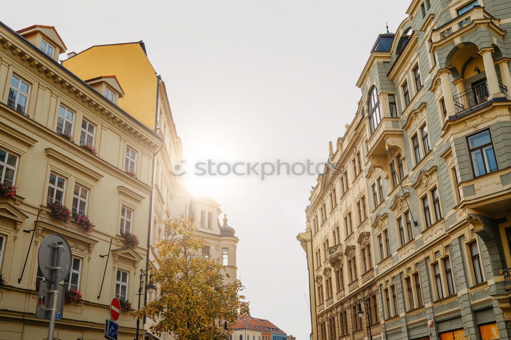 Similar – Image, Stock Photo lecture Tourism City trip