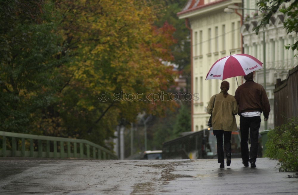 Similar – Image, Stock Photo summer rain Rain Weather