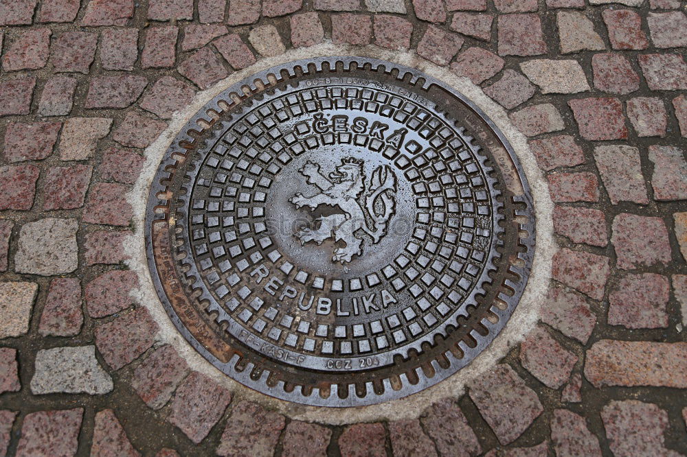 Similar – Gully cover with embedded cobblestones with grey paving stones arranged in a circle in pouring rain