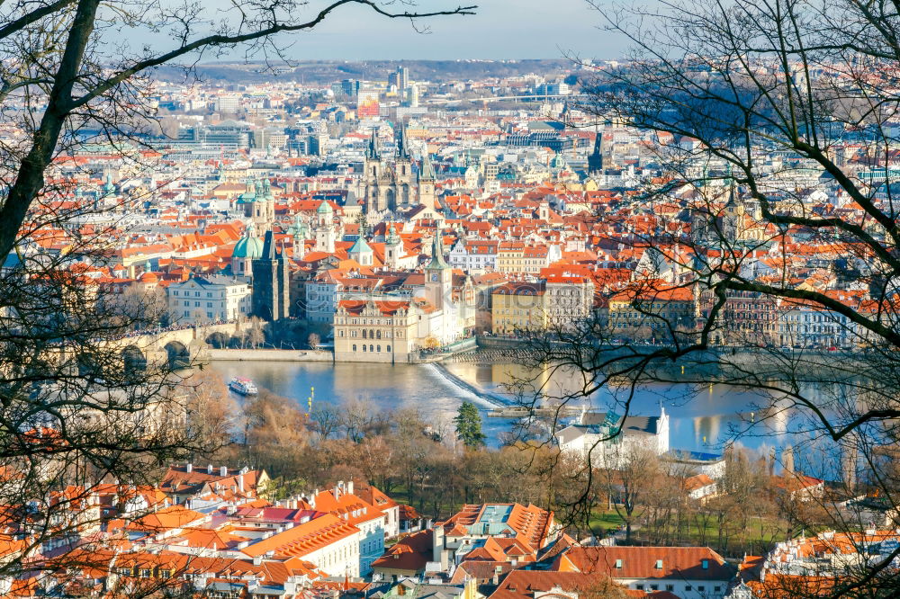 Similar – Image, Stock Photo Dresden Loschwitz Tourism