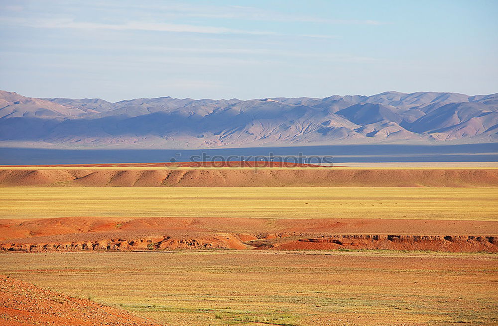 African steppe