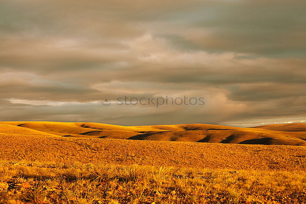 Similar – Image, Stock Photo lost Man Field Canola