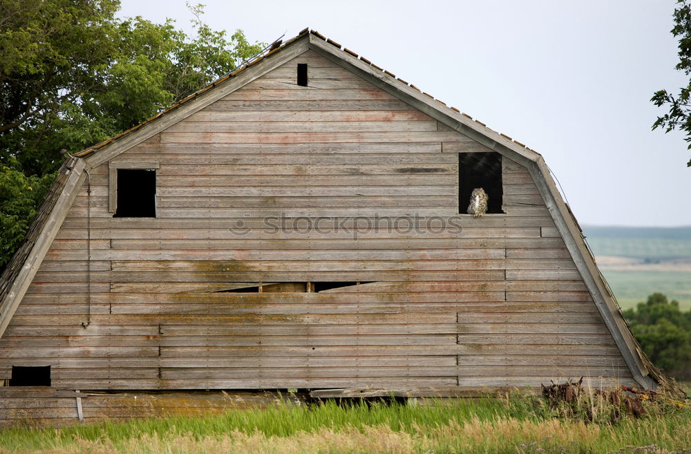 Similar – Image, Stock Photo workshop Industrial plant