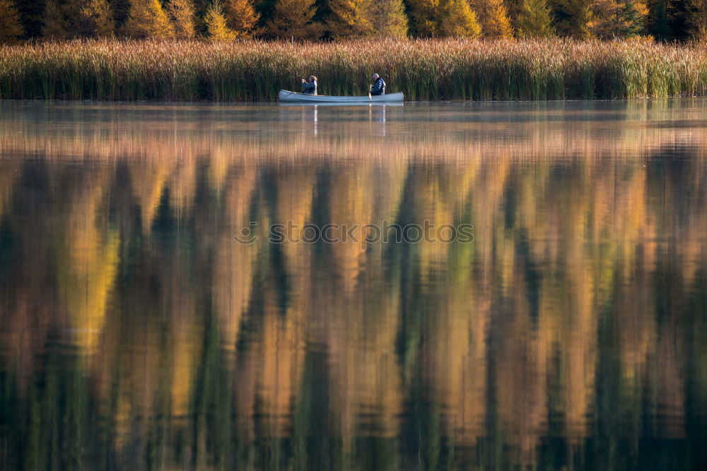 Similar – Image, Stock Photo swan lake Trip Nature