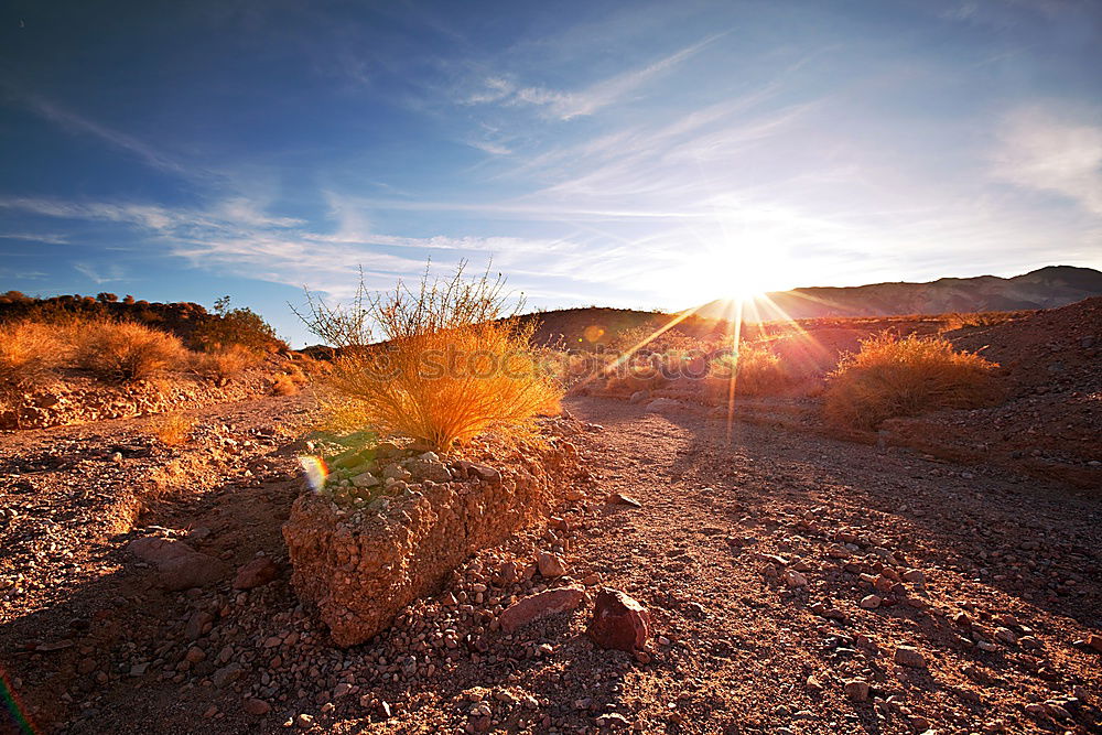 Similar – Image, Stock Photo autumn colours