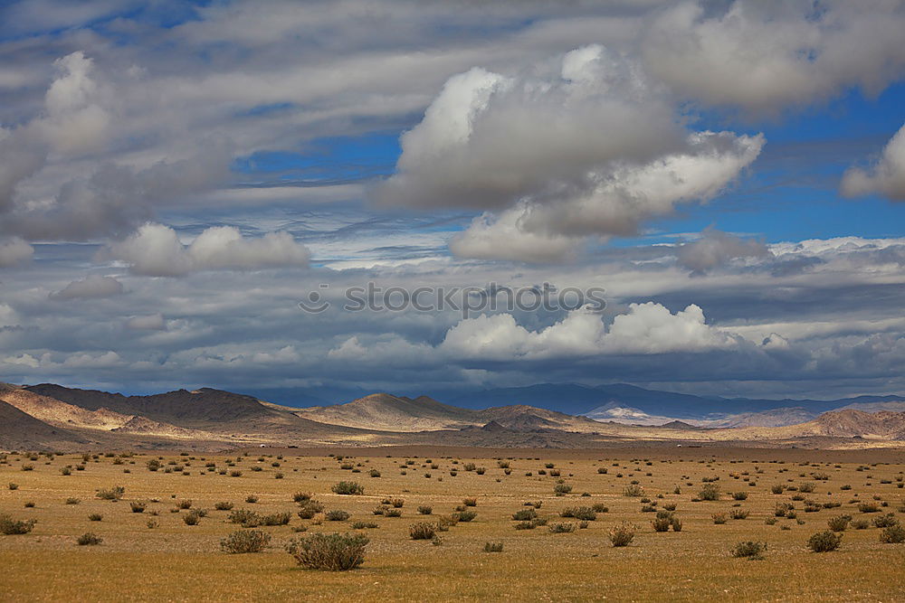 Similar – African steppe