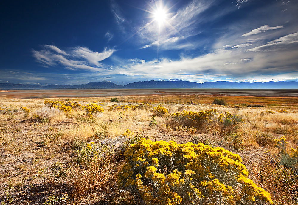 Similar – Image, Stock Photo autumn colours