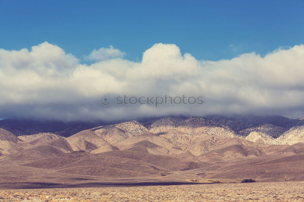 Similar – Landschaft Palm Springs II