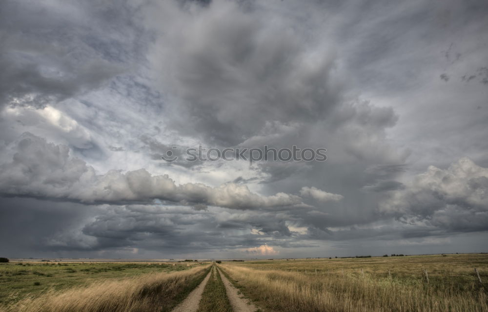 Similar – Image, Stock Photo overland Environment