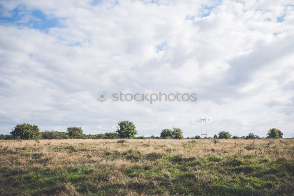 Similar – Foto Bild Kreisgrenze Umwelt Natur