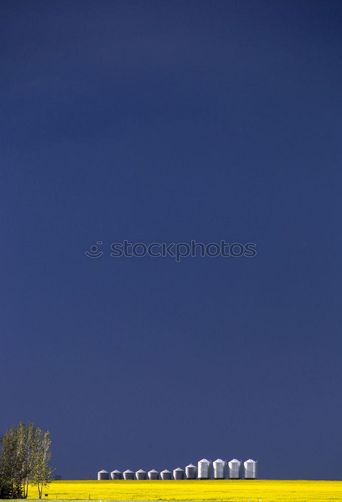 Similar – Image, Stock Photo demarcation Sand Dry