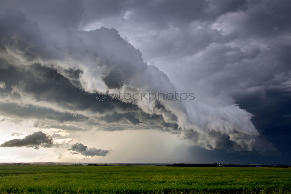 Similar – Foto Bild da kommt was Raps Wolken