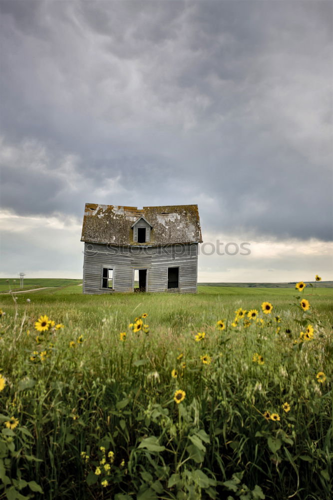 Similar – Image, Stock Photo Beach house on Ærø III