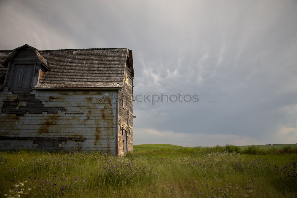 Similar – Image, Stock Photo barn Work and employment