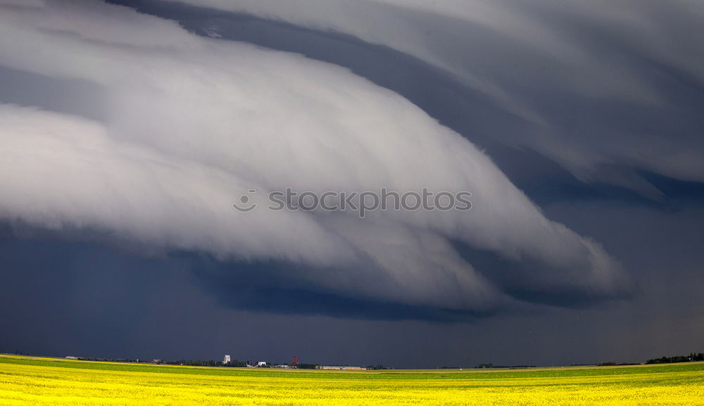 Similar – Foto Bild da kommt was Raps Wolken