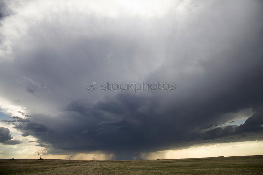 Similar – THUNDERSTRUCK Umwelt Natur