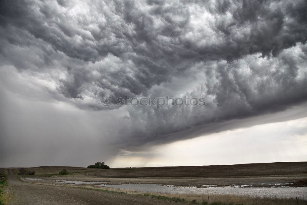 THUNDERSTRUCK Umwelt Natur