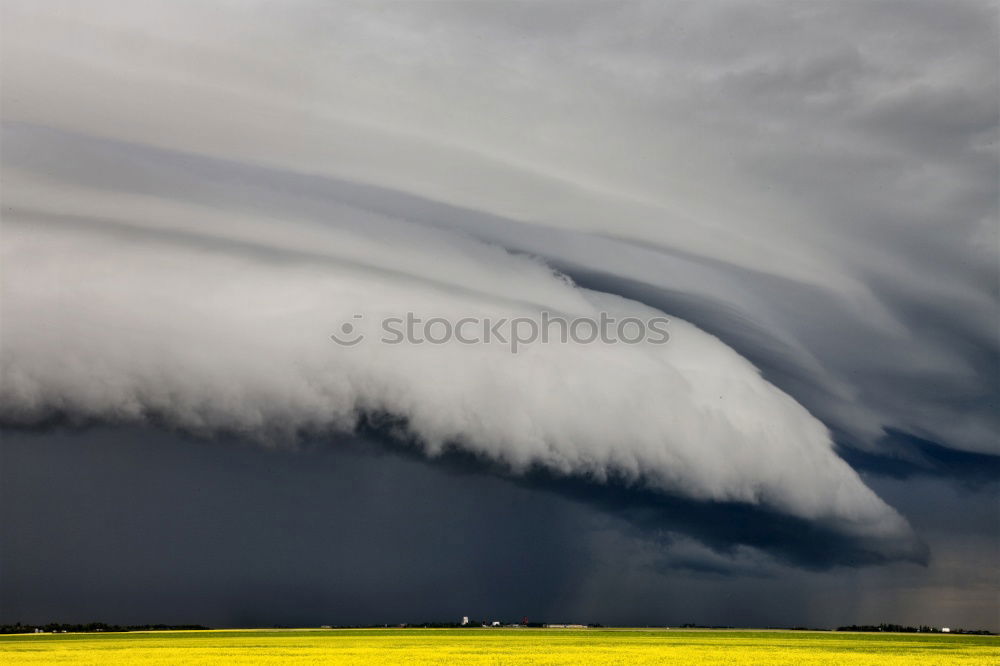 Similar – THUNDERSTRUCK Umwelt Natur