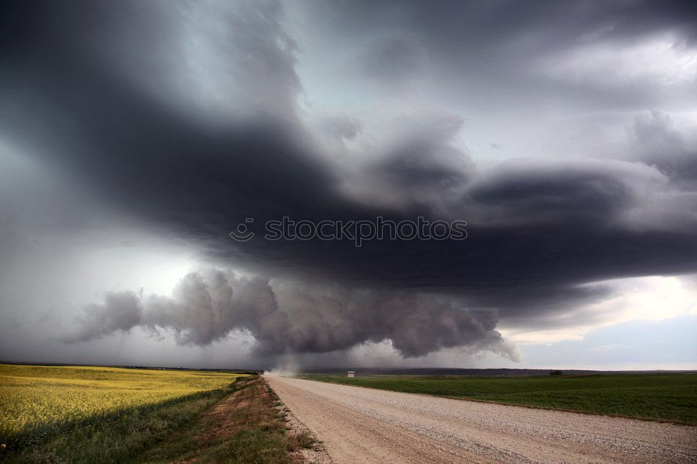 Similar – THUNDERSTRUCK Umwelt Natur