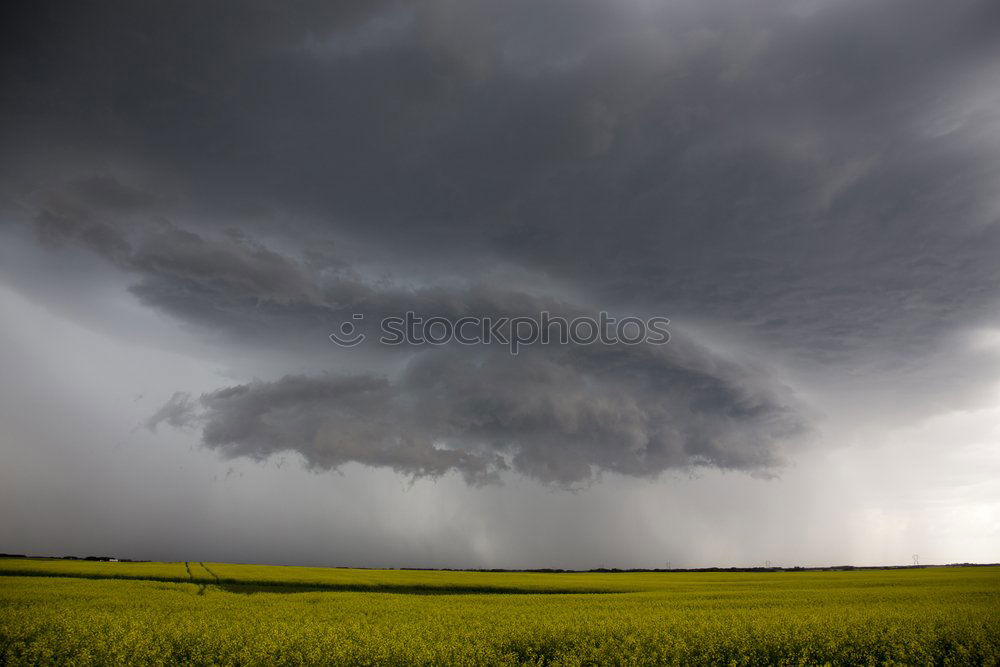 Similar – THUNDERSTRUCK Umwelt Natur